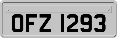 OFZ1293
