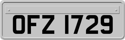OFZ1729