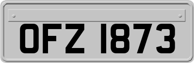 OFZ1873