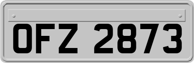 OFZ2873