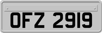 OFZ2919
