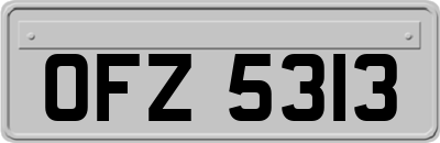 OFZ5313