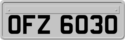 OFZ6030