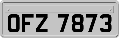 OFZ7873