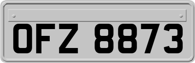 OFZ8873