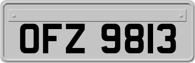 OFZ9813