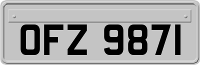 OFZ9871