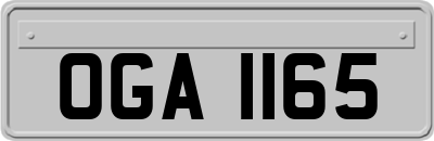 OGA1165