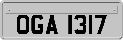 OGA1317