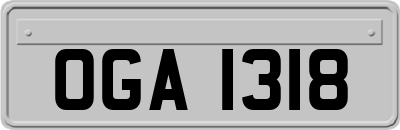 OGA1318