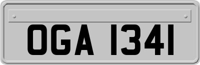 OGA1341