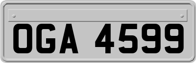 OGA4599