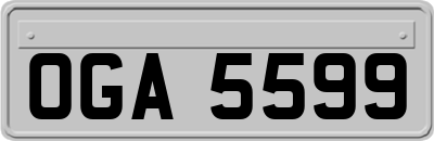 OGA5599