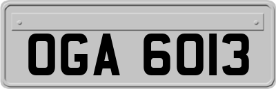 OGA6013