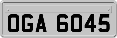 OGA6045