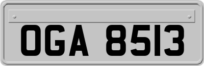OGA8513