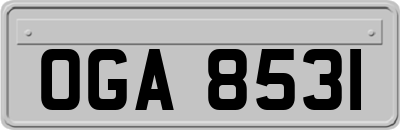OGA8531