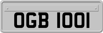 OGB1001