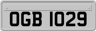 OGB1029