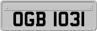 OGB1031