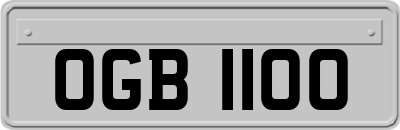 OGB1100