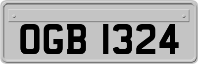 OGB1324