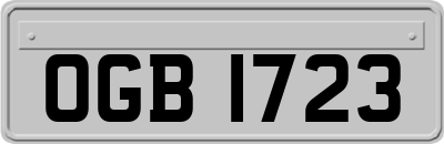 OGB1723