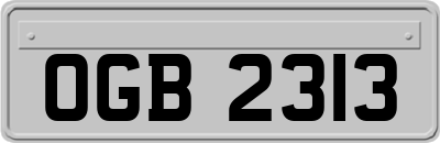 OGB2313