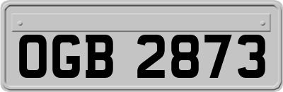 OGB2873