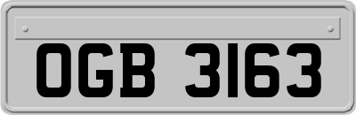 OGB3163