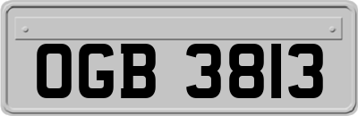OGB3813