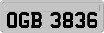 OGB3836