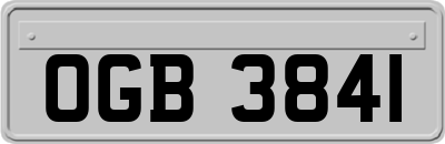 OGB3841