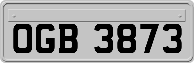OGB3873