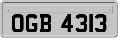 OGB4313