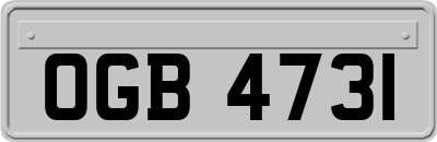OGB4731
