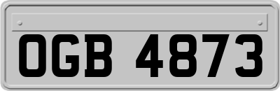 OGB4873