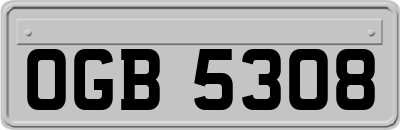 OGB5308