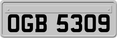 OGB5309