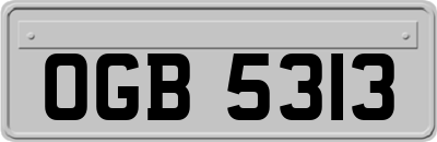 OGB5313