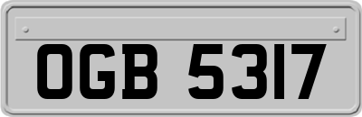 OGB5317