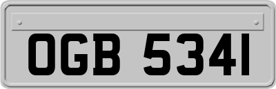 OGB5341
