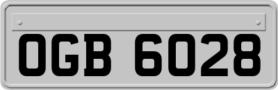 OGB6028