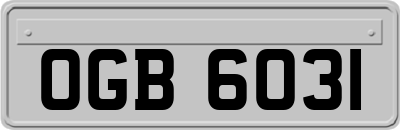 OGB6031