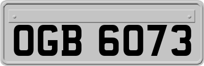OGB6073