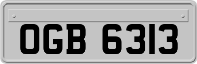 OGB6313
