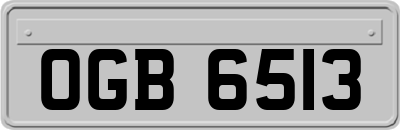 OGB6513