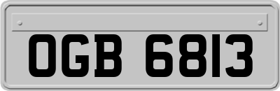 OGB6813