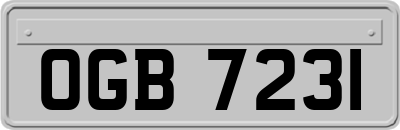 OGB7231