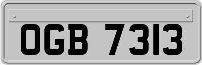 OGB7313